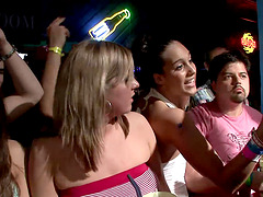 Salacious vixens parade their stunning figures at a club party